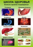 Болезни органов пищеварения